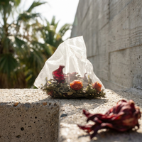 A small clear plastic bag containing dried flowers and leaves sits on a rough concrete ledge outdoors, with a matching dried red flower lying in the foreground and blurred palm trees and a wall in the background.